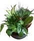 Purchase this funeral home arrangement