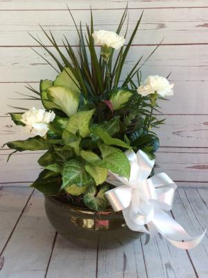 10" Ceramic Dish Gardern W/ Bow & Flowers 