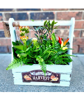 Autumn Harvest Euro Garden  European Dish Garden
