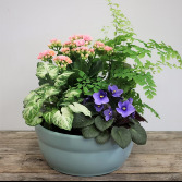8" Euro Garden EUROPEAN DISH GARDEN