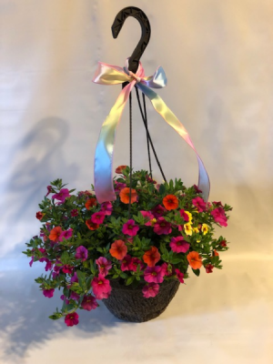 10" Hanger Outside Hanging Basket