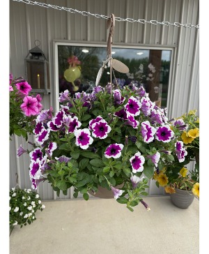 10" Hanging Basket  