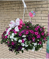 10" Hanging Baskets Outdoor Blooming Plant