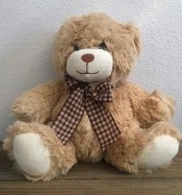 10" Plush Teddy Bear Plush Teddy Bear