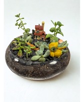 10" Round Succulent Glass Dishgarden Succulent