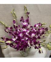 10 Stem Orchid - Clear Vase Arrangement