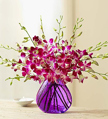 10 Stem Orchid - Purple Vase Arrangement