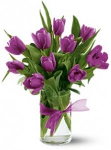 10 Tulips-colors may vary 