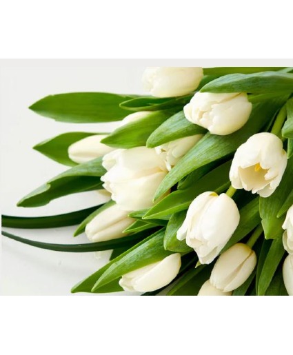 10 Tulips bouquet  Hand tie bouquet 