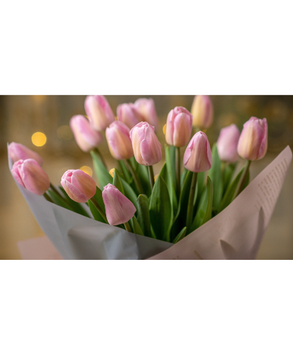 10 week tulip subscription plan beginning 1/13/24 Wrapped bouquet