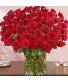 100 Long stem Red Roses 