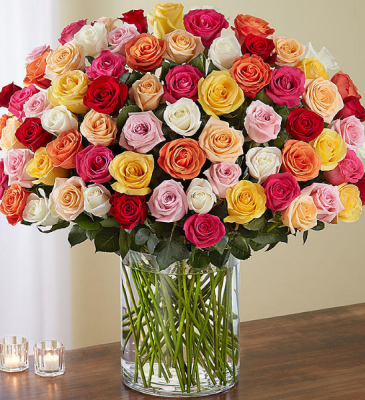 100 Premium Assorted Roses Sale $499.99  in Sunrise, FL | FLORIST24HRS.COM