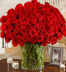100 Premium Long Stem Red Roses    Rose Arrangement