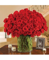 100 Premium Red Roses In A Vase 