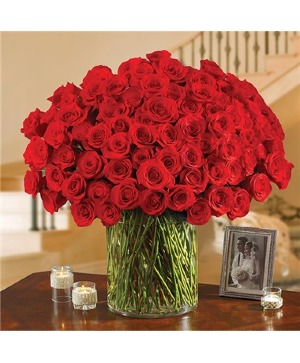 100 Premium Red Roses In A Vase 