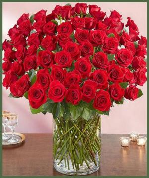 100 Premium Roses Any Color