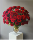 100 Red Ecuadorian Roses 