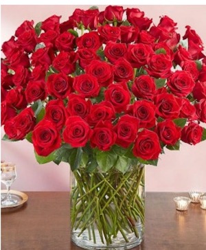 100 red roses 