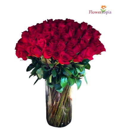 100 Red Roses in a Vase  Long Steam Rose Arrangement Bouquet 