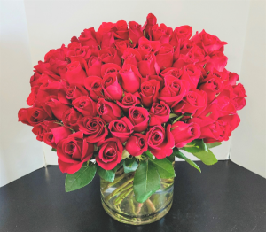 100 Red Roses Luxury Rose Arrangement in Springfield, MO | FLOWERAMA #226 100 Red Roses Luxury Rose Arrangement in Springfield, MO | FLOWERAMA #226