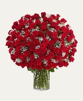 100 RED ROSES Rose Vase Arrangement