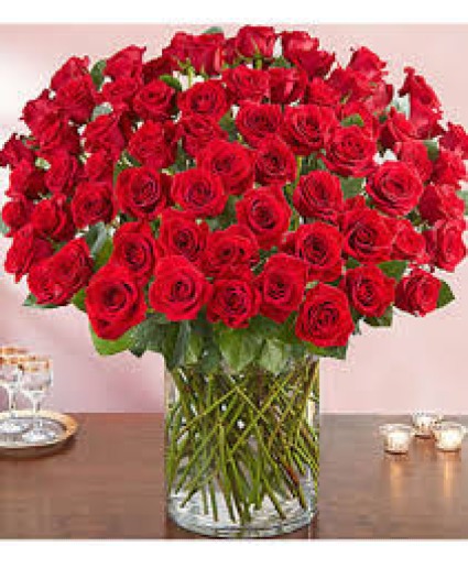 100 Red Roses Roses