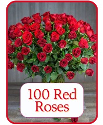 100 Red Roses Valentine's Day Bouquet Flower Arrangement