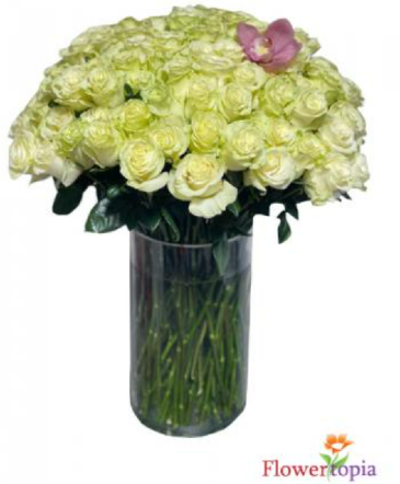 100 Rosas Blancas en un Florero Arreglo de Ramo de Rosas de Tallo Largo in Miami, FL | FLOWERTOPIA