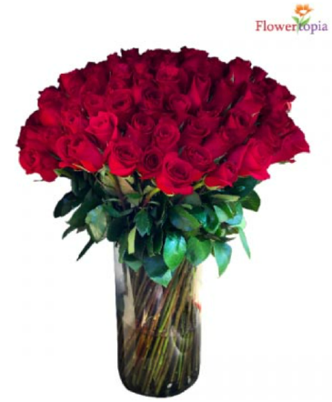100 Rosas Rojas en un Florero Arreglo de Ramo de Rosas de Tallo Largo in Miami, FL | FLOWERTOPIA