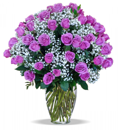 100 Rose Arrangement Roses