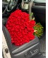 100 roses 