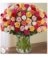 100 Roses!  