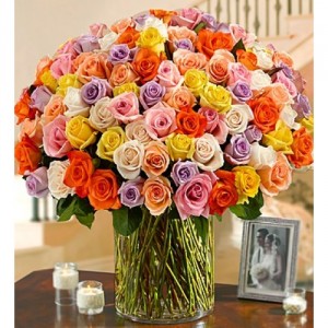 100 ROSES PICK YOUR COLOR