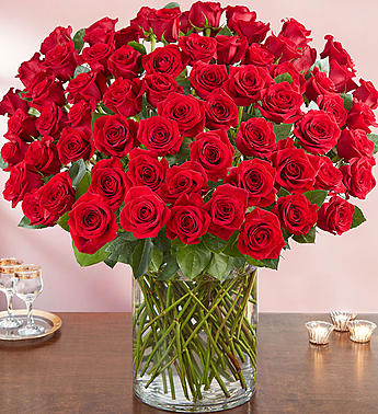 100 Roses Also Available in Pink, Hot Pink, Yellow, Orange, White & Lavender