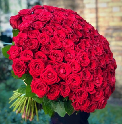 100 Royal Red Roses Roses