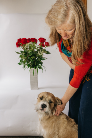 Mowgli the shop dog's favorite Liberty Roses