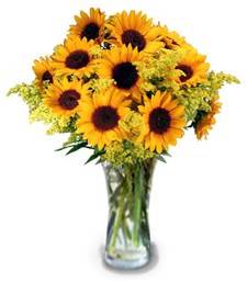 Smiles & Sunflowers 