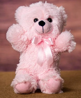 12" Baby Girl Hug Bear Plush