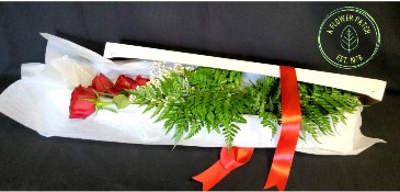 1/2 Dozen Red Roses With Filler & Water Tubes Boxed in Lake Worth, FL | AST FLOWERS INC DBA A FLOWER PATCH