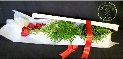 1/2 Dozen Red Roses With Filler & Water Tubes Boxed