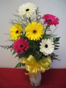 GERBERA DAISIES COLORS WILL BE ASSORTED