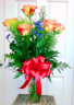 1/2 dozen Circus Roses Roses