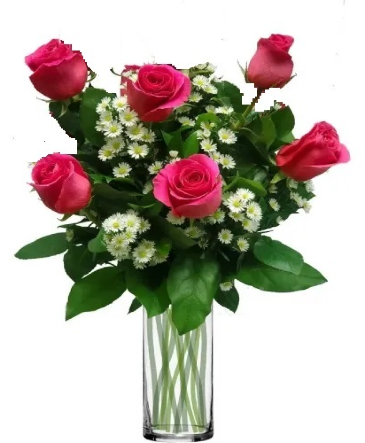 1/2 Dozen Hot Pink Roses   in Georgetown, KY | Carriage House Gifts & Flowers