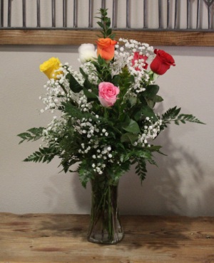 1/2 Dozen Mixed Colored Roses with Filler Roses of assorted colors and Filler s