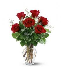 1/2 Dozen Red Rose Vase 
