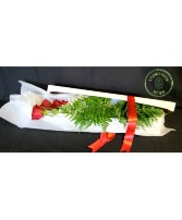 1/2 Dozen Red Roses With Filler & Water Tubes Boxed