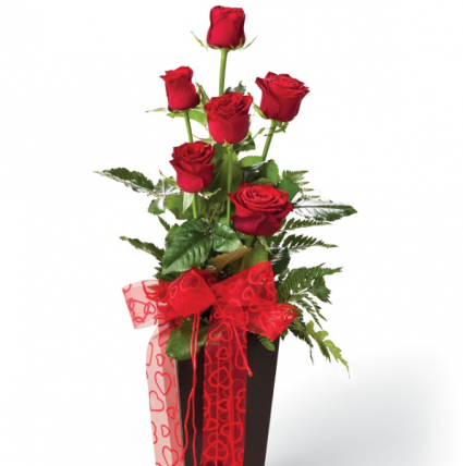 1/2 Dozen Red Roses 6 red roses in a red vase