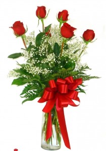 1/2 Dozen Roses