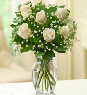 https://cdn.atwilltech.com/flowerdatabase/_/12-dozen-white-roses-6176c5691888a9.92870691.300.jpg