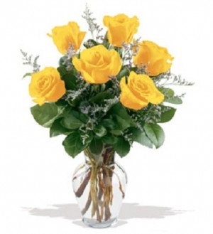 1/2 Dozen Yellow Roses 